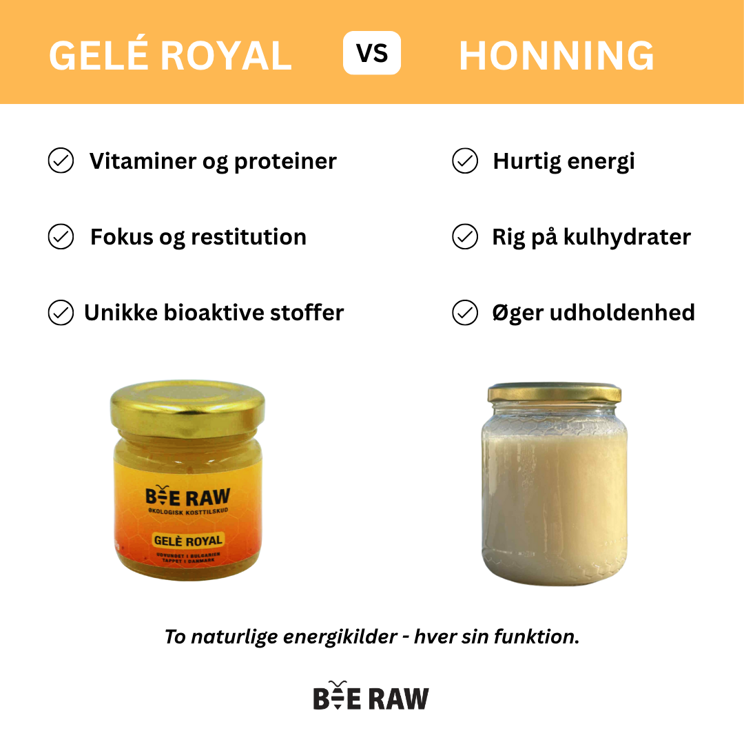 Gelé Royal
