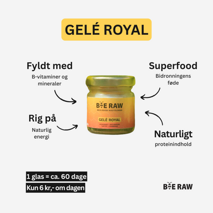 Gelé Royal