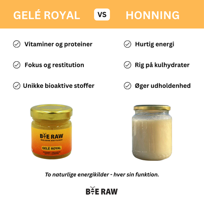 Gelé Royal