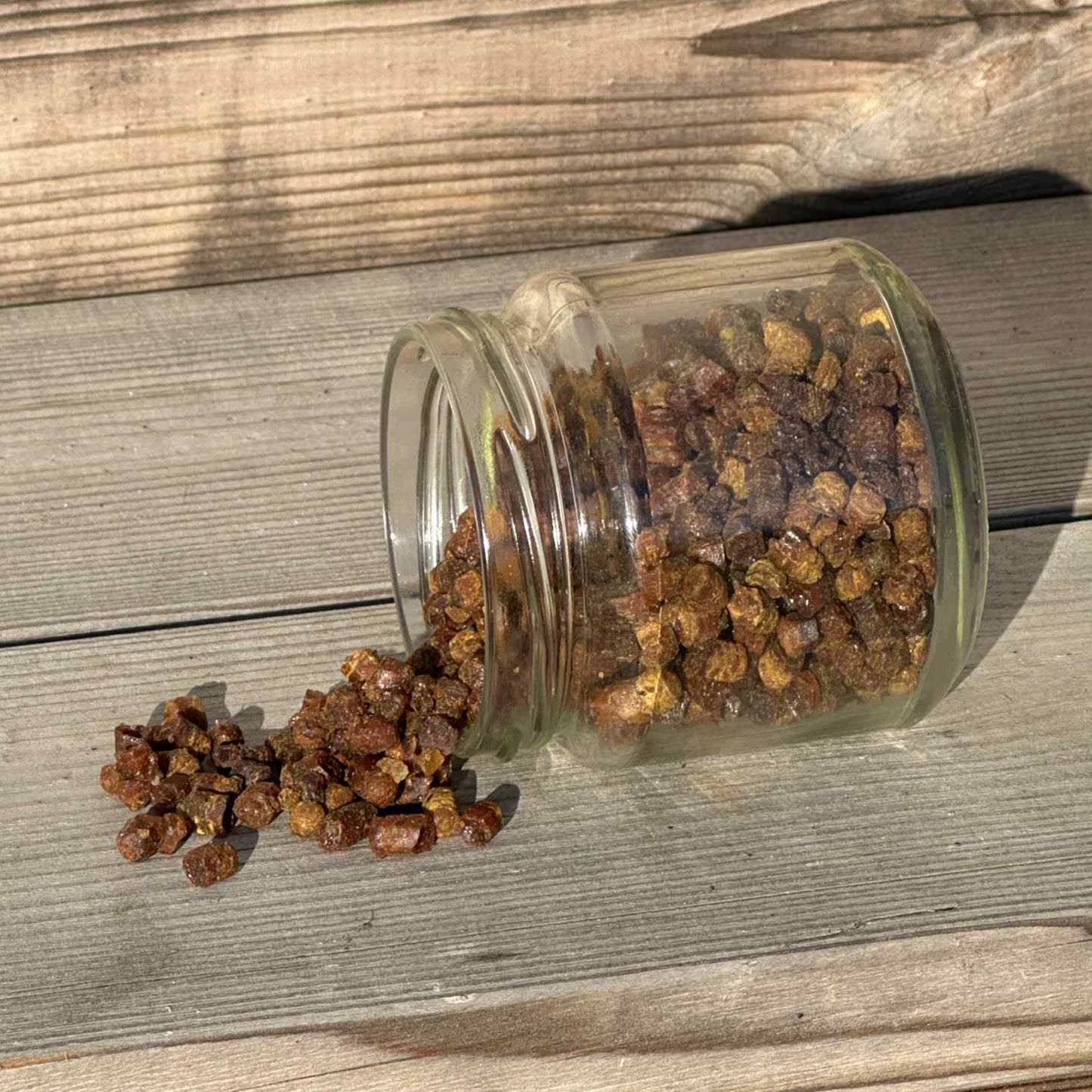 Fermenteret Bibrød (100g)