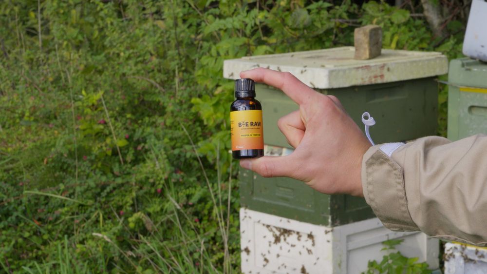 Propolis Tinktur 30 ml ved bistaderne