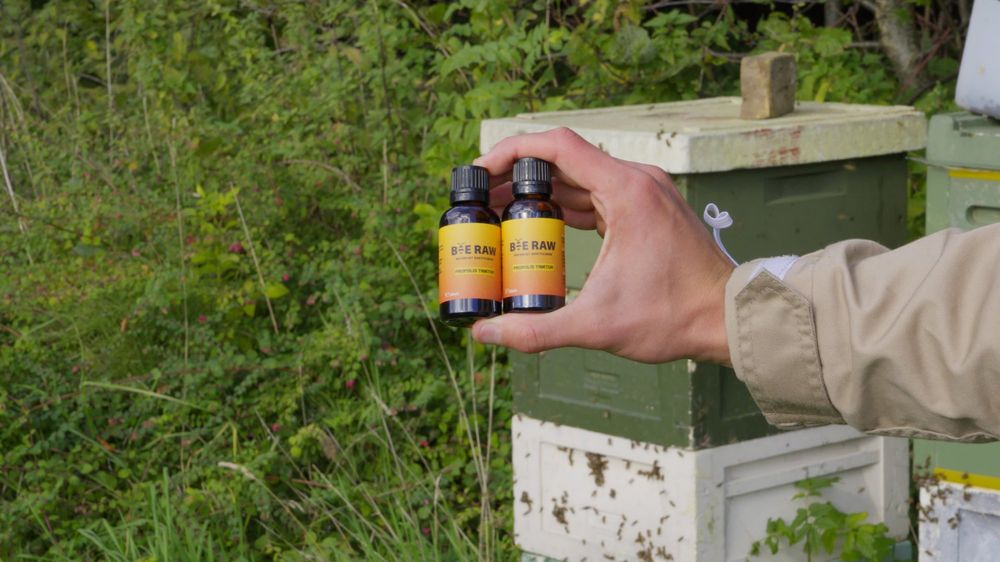 Propolis Tinktur ved bistaderne